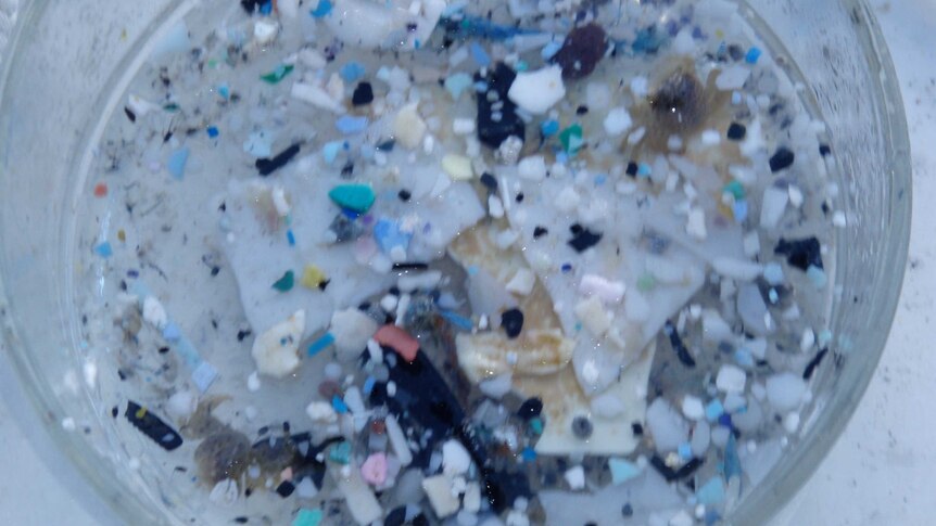 ocean garbage: Microplastics