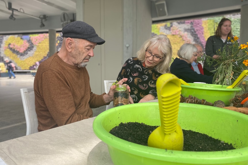 George and Karin Olah build a terrarium together.