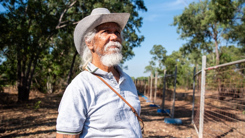 A man in a hat looks skyward. 