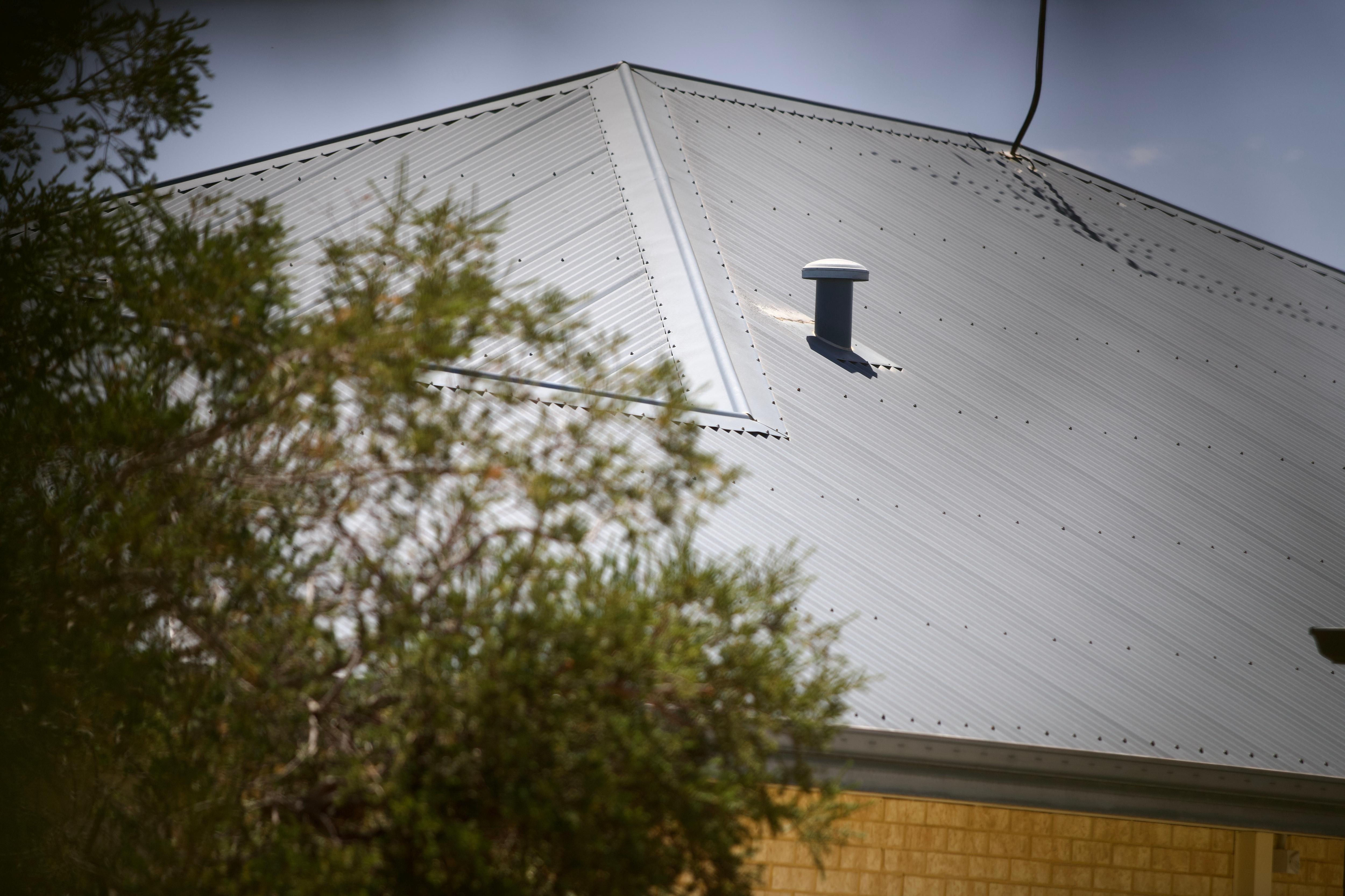 Un primer plano del tejado gris de chapa ondulada de una casa, con la copa de un árbol en primer plano a la izquierda.