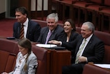 Crossbenchers Cory Bernardi, Rex Patrick, Jacqui Lambie and Stirling Griff sitting in the Senate
