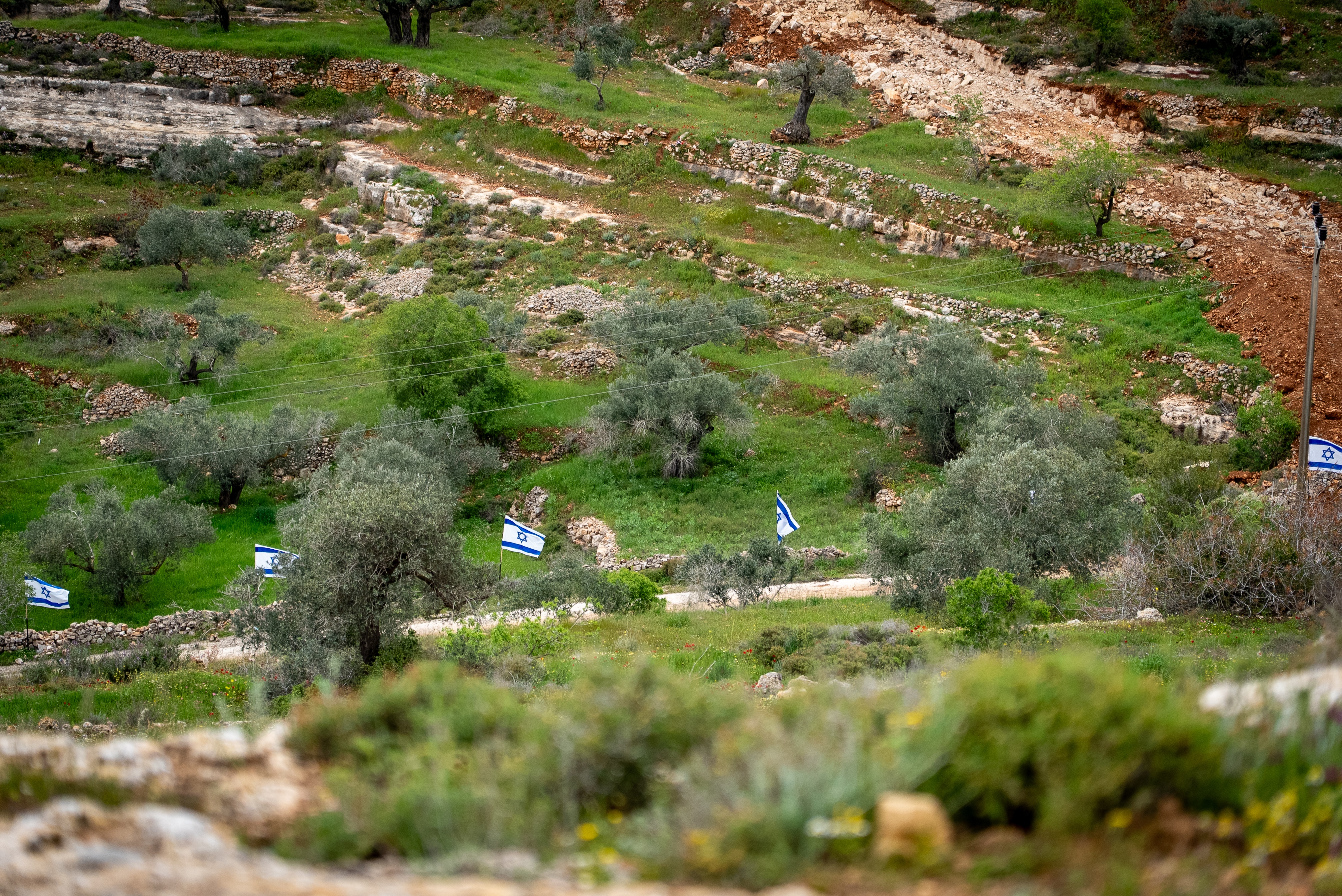The main road to Qaryut lined by Israeli flags.