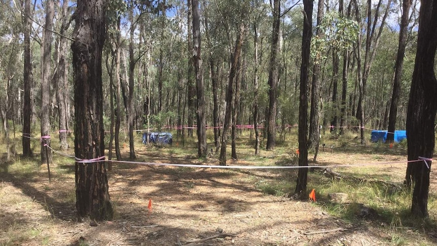 Tape around trees in lightly wooded Australian bushland.
