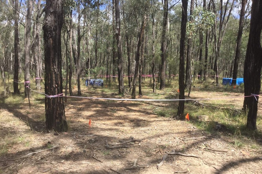 Tape around trees in lightly wooded Australian bushland.