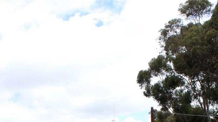 Creswick Creek on 14 January