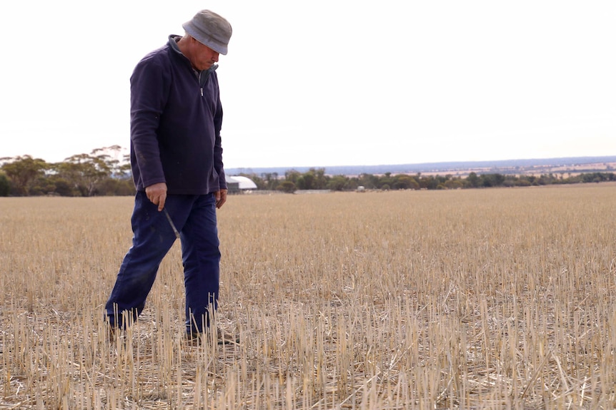 Max Lancaster walks in a dry paddock on his farm near Beacon.