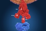 Illustration of a virus spike protein