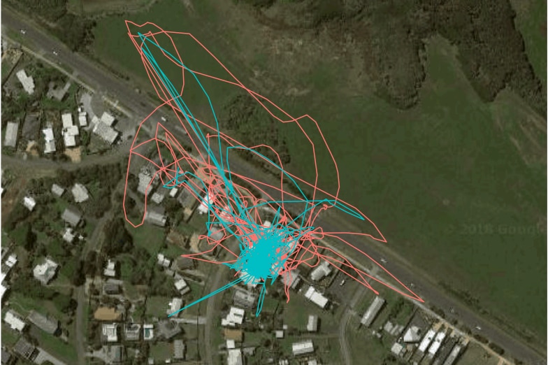 An aerial view of part of Phillip Island, with blue and orange lines over the top.