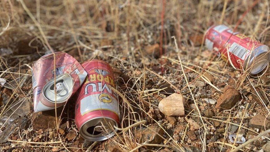 Two beer cans in the dirt