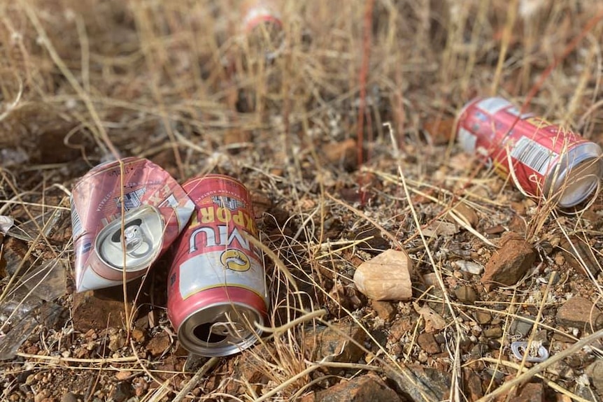 Two beer cans in the dirt