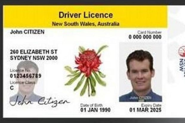 NSW ID fraud victims say drivers licence protocols need to be overhauled to stop fraudsters.