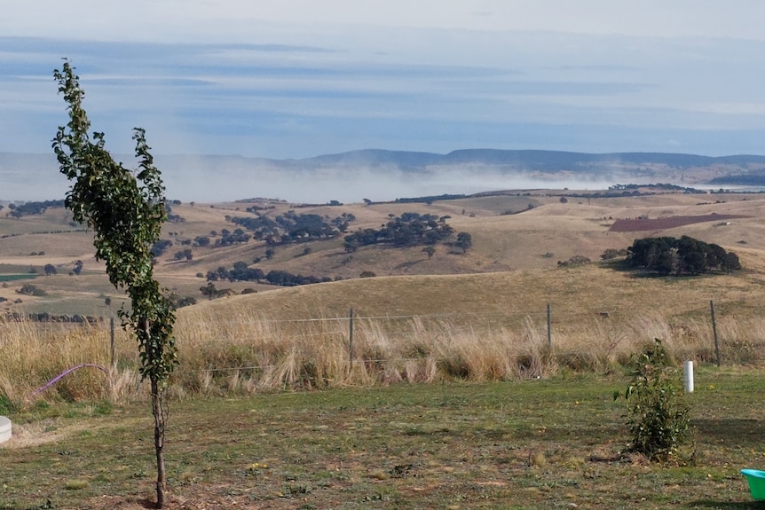 A dust cloud rising off land in distance.