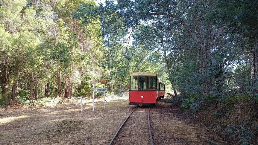 red tram set amongst bushland and forest 