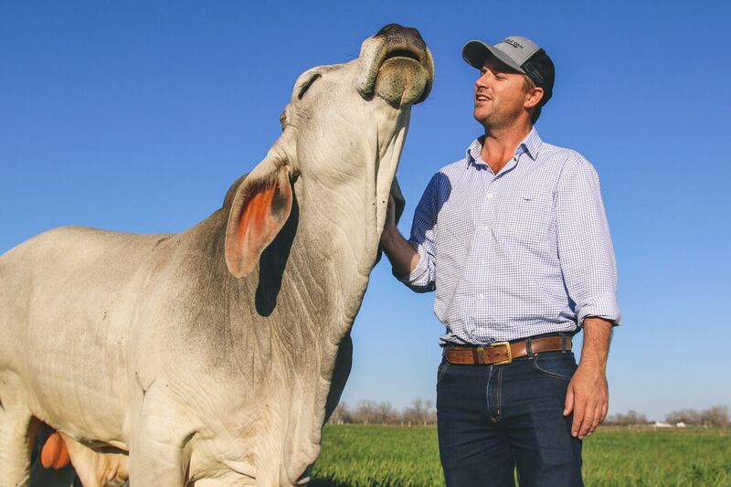 First Nuffield Scholars Conference held in Darwin, former winners speak