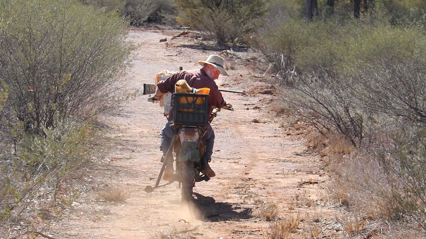 Don Sallway spots dog tracks as he rides his motorbike down a dirt road.