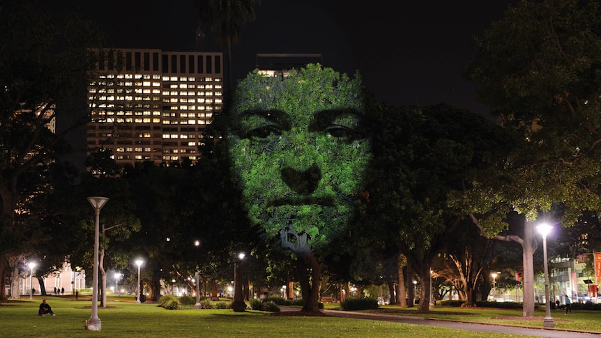 A face projected onto a tree