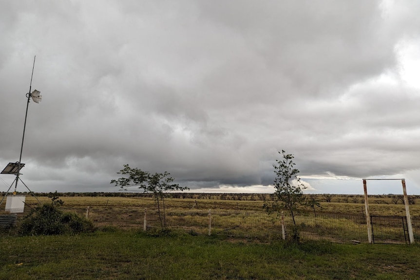 Storm clouds hover over a paddock on a farm near Hughenden in western Queensland