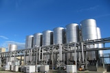 ROBE expands canola oil storage