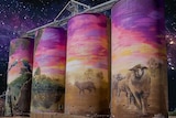 Four painted silos against the night sky 