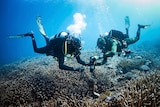 Divers place a sounding device