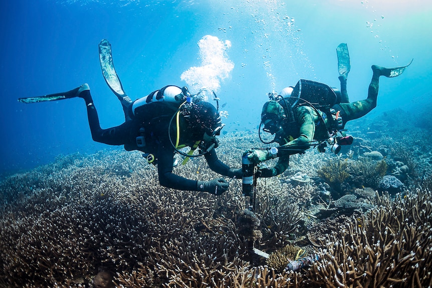 Divers place a sounding device