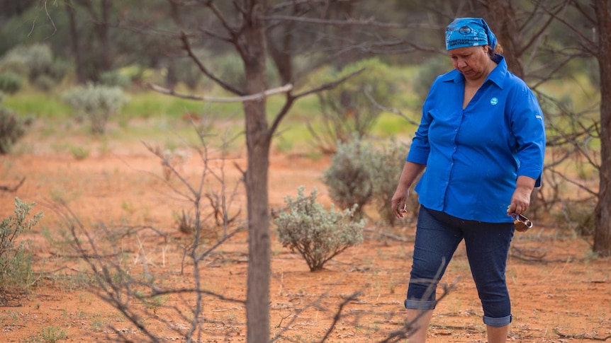 CSIRO Aboriginal liaison officer Leonie Boddington walks through bush