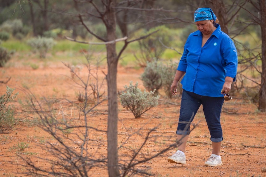 CSIRO Aboriginal liaison officer Leonie Boddington walks through bush