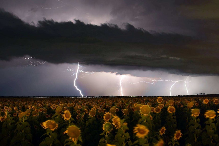 Storms and rain over the Darling Downs in Queensland