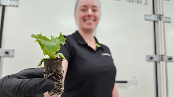 A woman smiling and holding out a small lettuce.