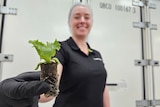 A woman smiling and holding out a small lettuce.