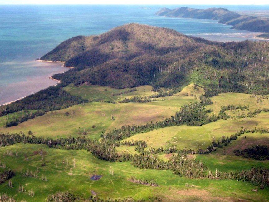 The land proposed for development at Ella Bay in November 2012.