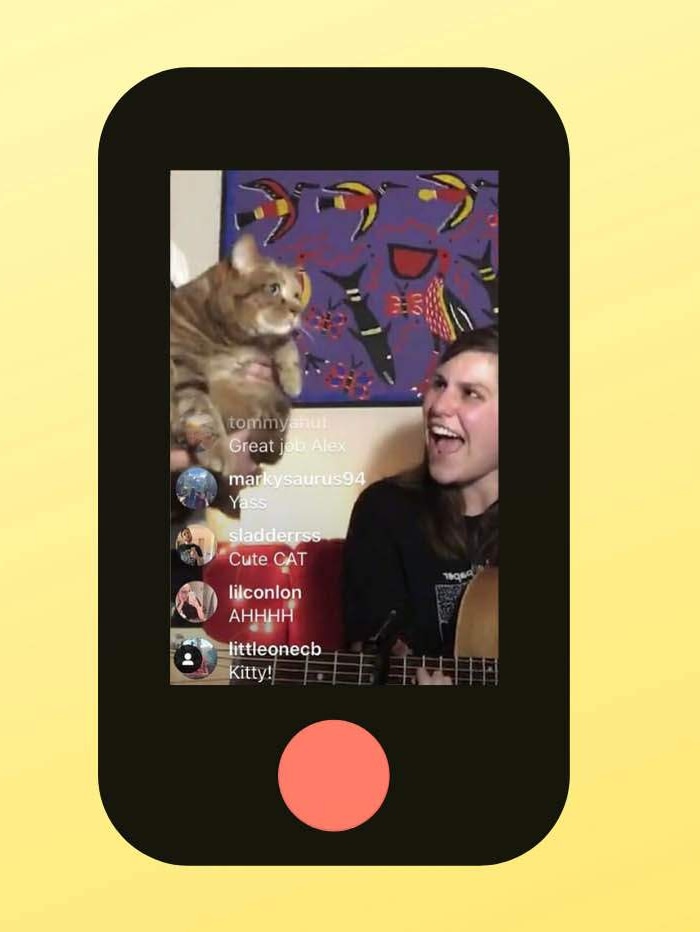 A stylised image of the musician Alex Lahey taken from her Instagram account, showing her playing guitar near a cat