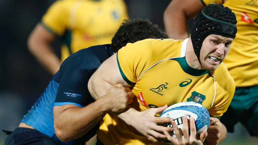 Tight struggle ... David Pocock meets the tackle of Pumas captain Agustin Creevy