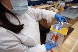 a woman wearing a face mask and protective gear holds a pack holding a testing kit