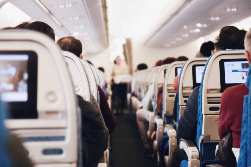 The backs of passengers' heads and their in-seat screens can be seen from an aisle seat on a plane