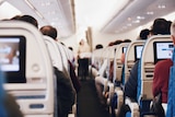 The backs of passengers' heads and their in-seat screens can be seen from an aisle seat on a plane
