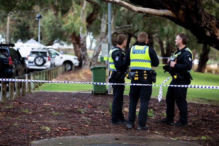 Three police officers wearing yellow hi-vis vests stand on a verge near a car park during the daytime.