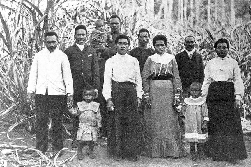 An archival photo shows men, women and children from the Pacific Islands in a cane field.