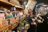 Female with glasses on holds a cotton bunch in her florist