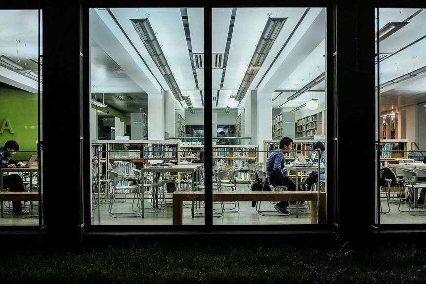 Students study in a library at China's Tongji University.