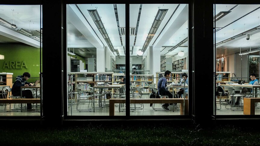Students study in a library at China's Tongji University.
