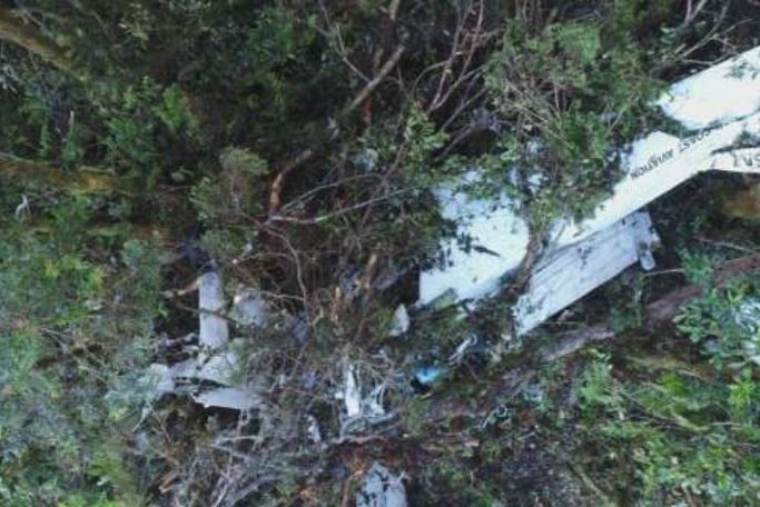 Wreckage of a plane in thick bushland