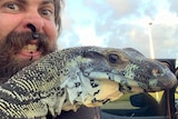 A bearded man with several face piercings holds up his pet lace monitor.