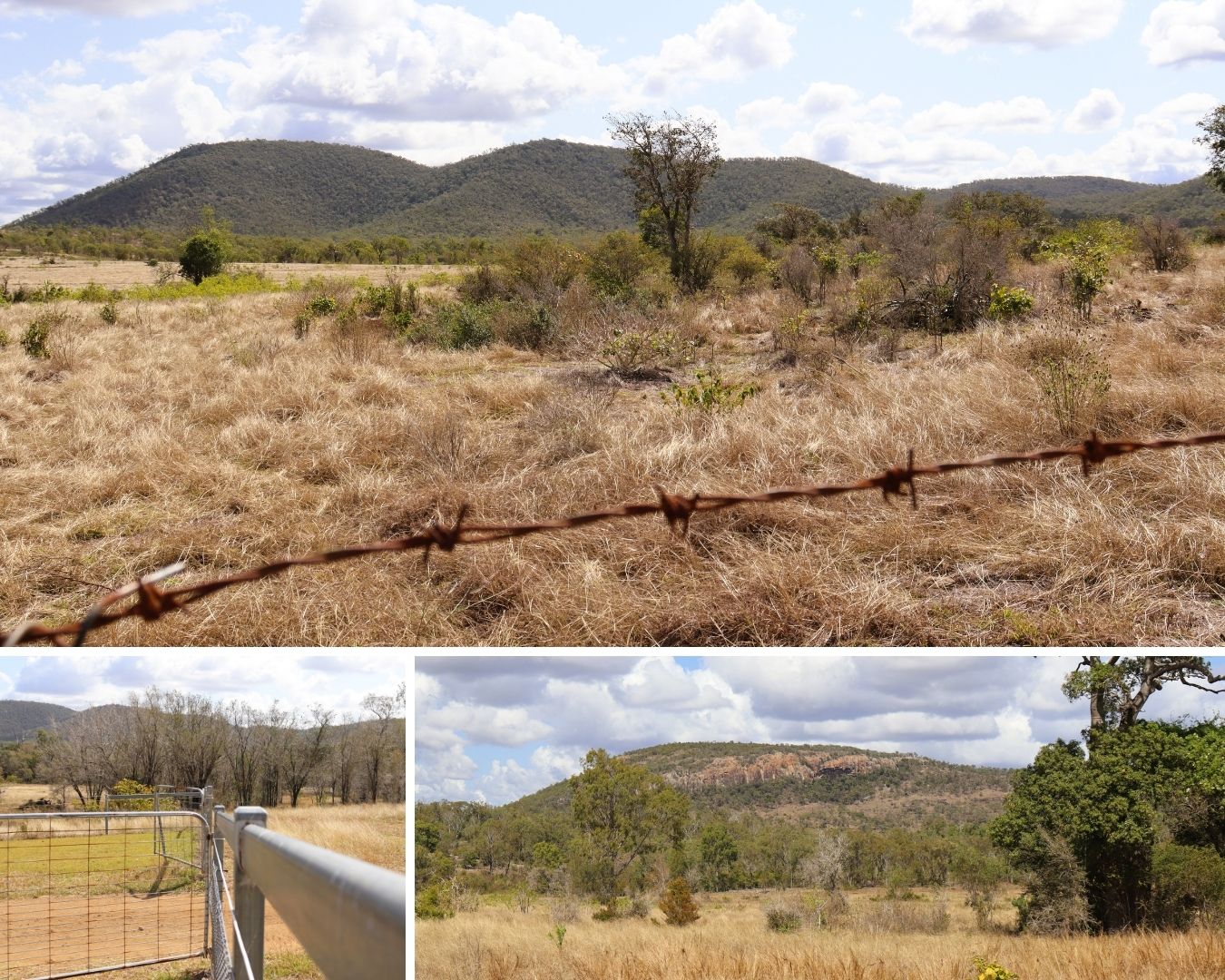 A collage shows pictures of a rural landscape.