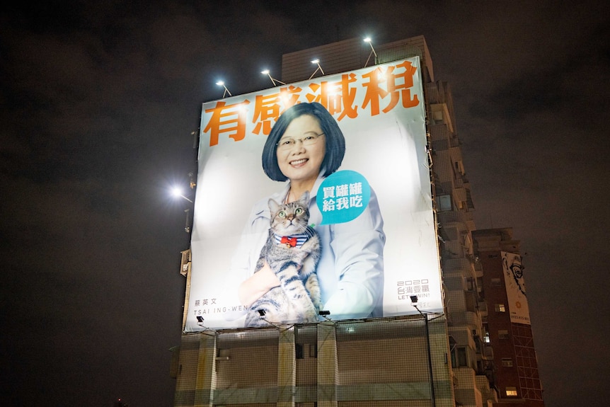 Tsai Ing-wen holds her cat and smiles.