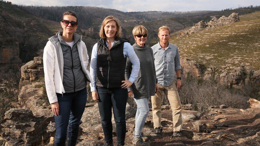 State MP's Rose Jackson, Jo Halen, Catherine Cusack and Justin Field stand at Gardens of Stone lookout