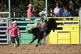 A young boy rides on a bucking bull in a rodeo arena.