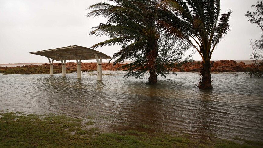 A beach shelter and trees partially submerged