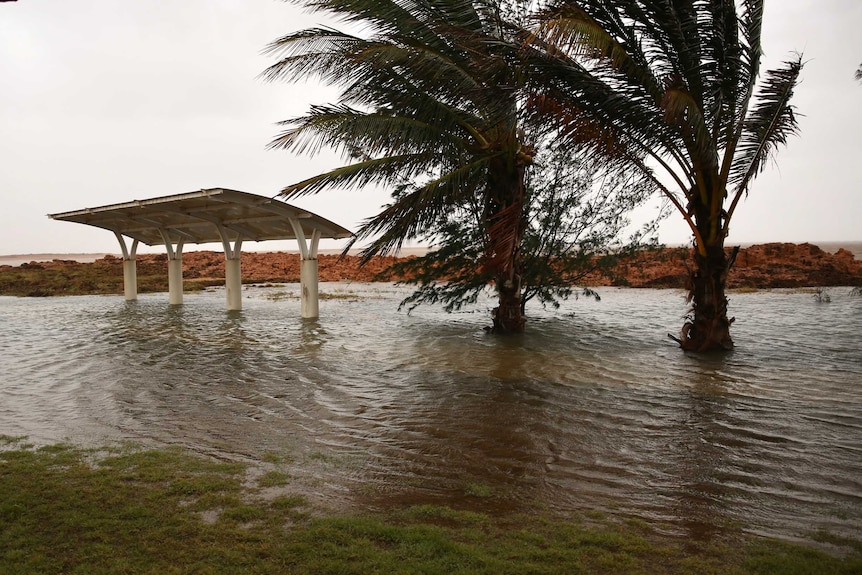 A beach shelter and trees partially submerged