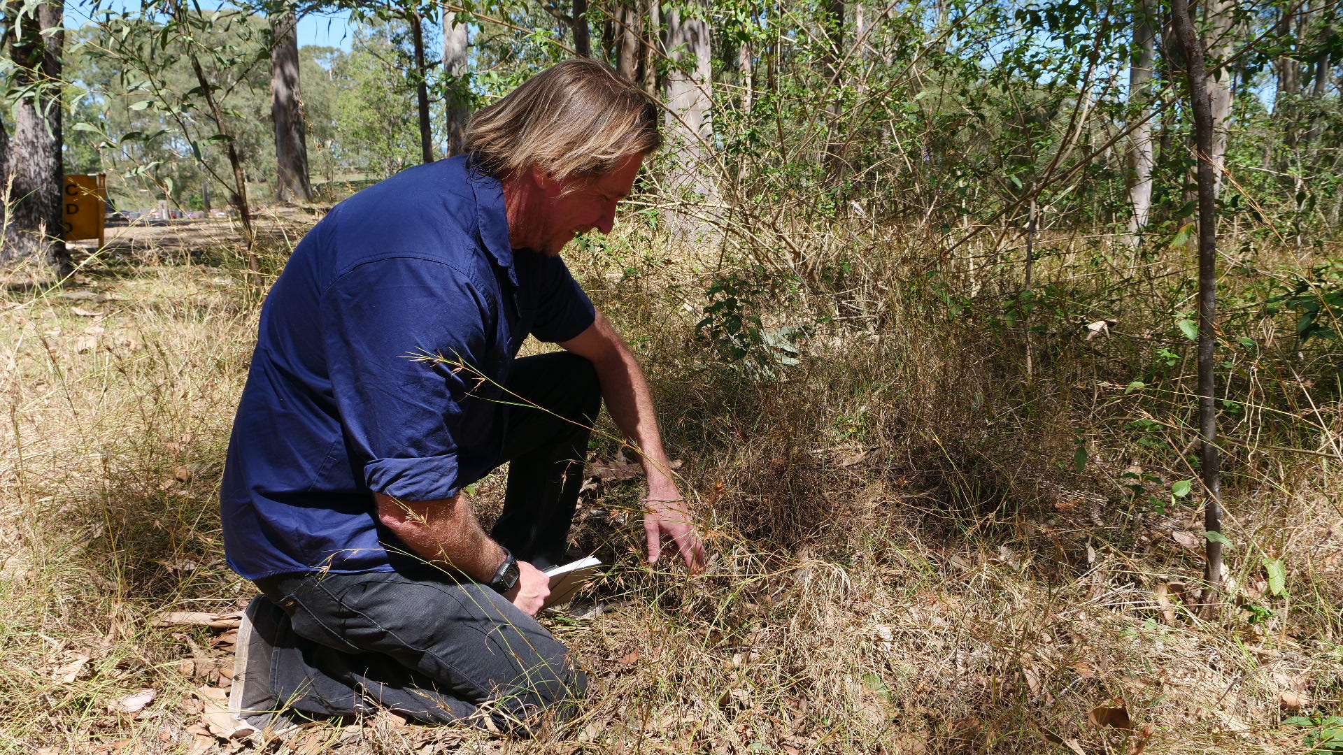 A man crouching down among brown grasses in bushland.